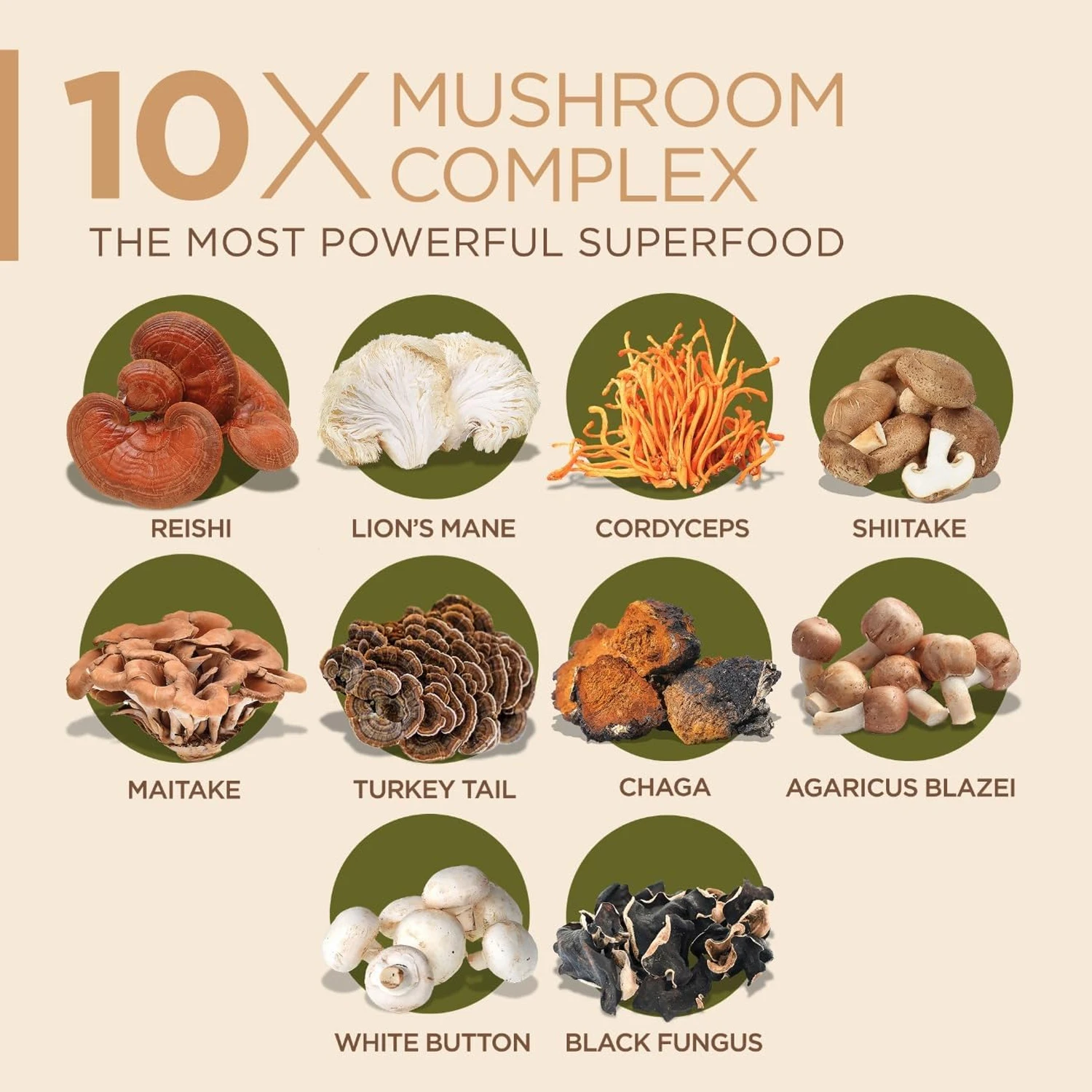 แคปซูลสารสกัดเห็ดรวม 10 ชนิด พ - Lion Mane Mushroom บทวิจารณ์และราคา