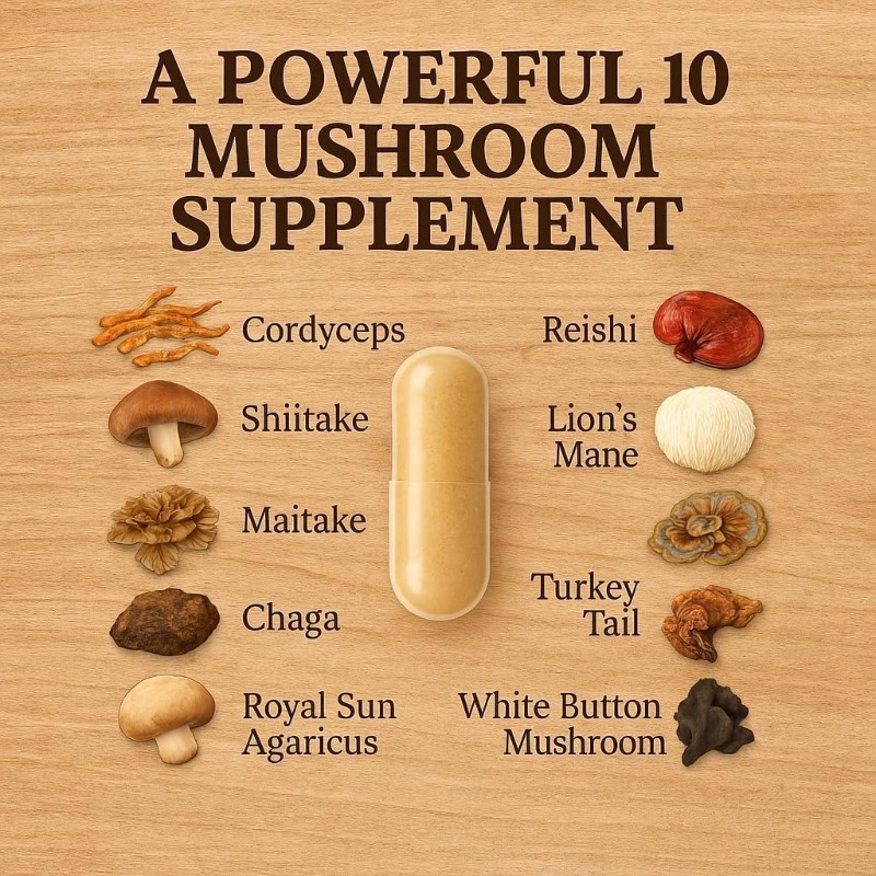 อาหารเสริมสารสกัดจากเห็ด 10 ชน - Lion Mane Mushroom บทวิจารณ์และราคา
