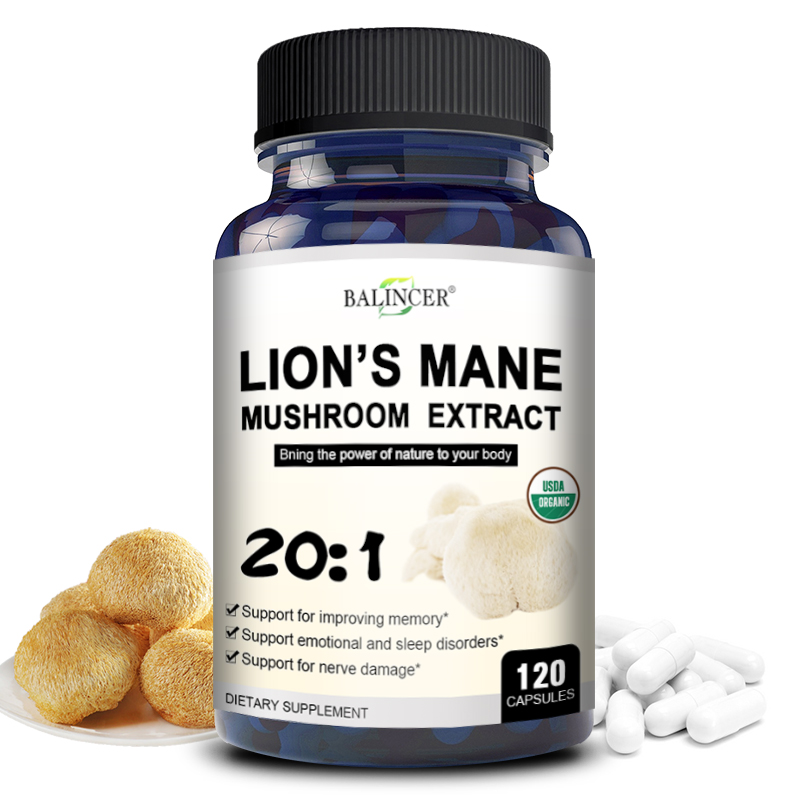 Lion's Mane - Nootropic Brain  - Lion Mane Mushroom บทวิจารณ์และราคา