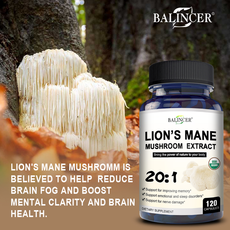 Lion's Mane - Nootropic Brain  - Lion Mane Mushroom บทวิจารณ์และราคา
