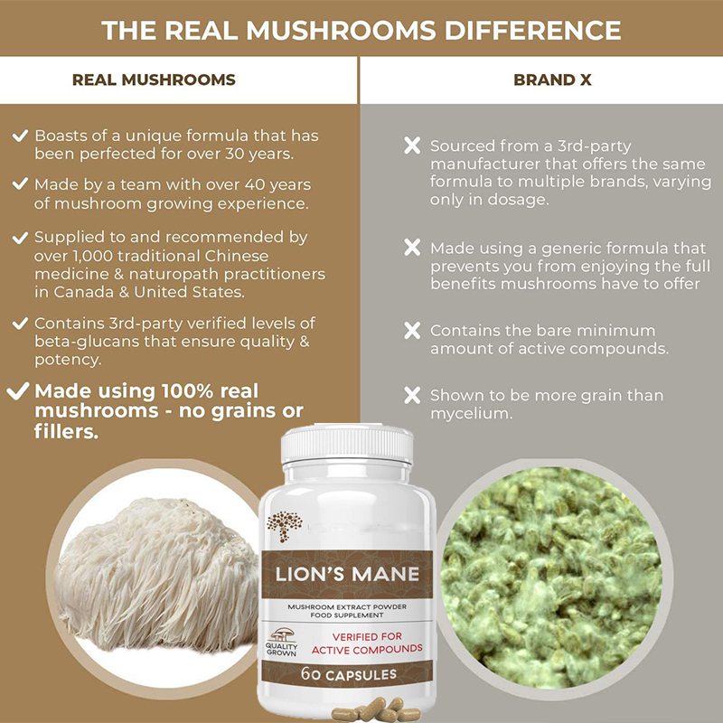 แคปซูลเห็ดหลินจือไลออนเม็นช่วย - Lion Mane Mushroom บทวิจารณ์และราคา